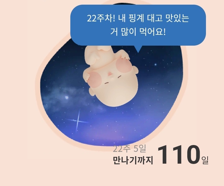 임산부 붓기차 다이어트차 내돈내산 후기19