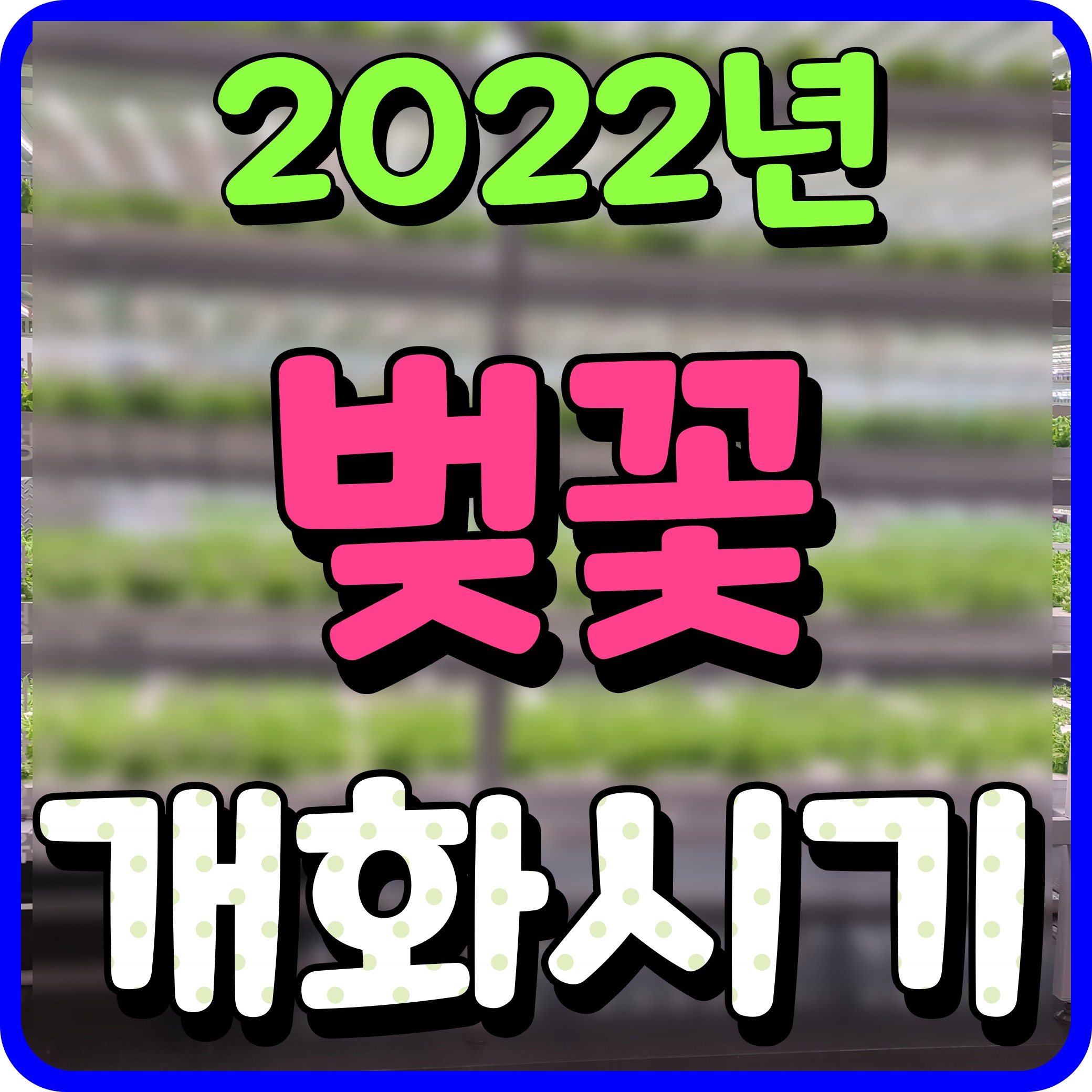  벚꽃 개화시기 2022 서울 경주 청주 인천 진해 명소 찾아볼까