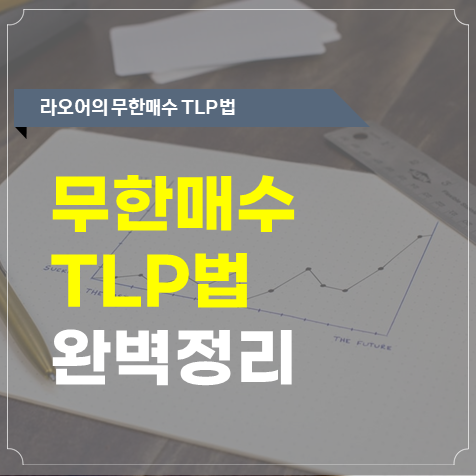  라오어의 무한매수법 TLP법 총정리(2022 ver)