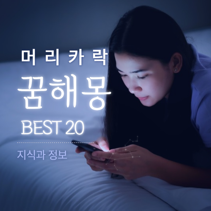 머리카락 꿈해몽 BEST 20