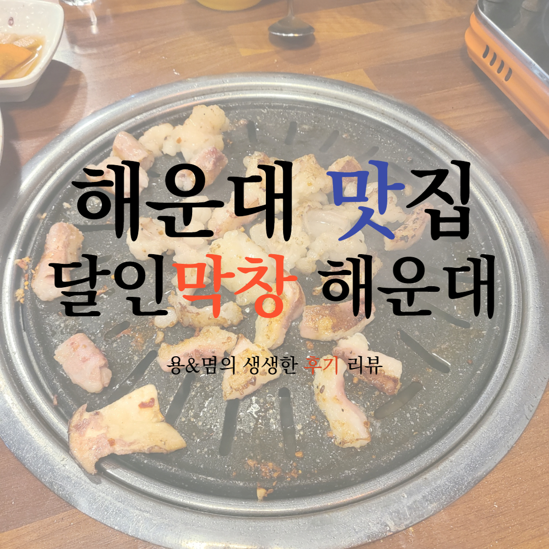  소주한잔 생각나는 해운대맛집 곱창구이&전골 : 달인막창