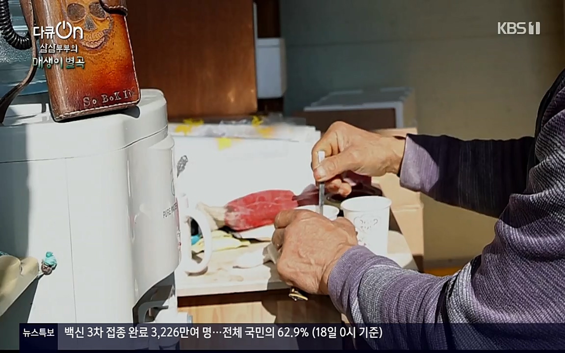 다큐 온.E131p-NEXT.mp4_20220319_174000.513.jpg