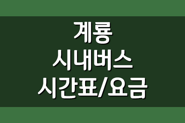  계룡 시내버스 시간표 및 요금표