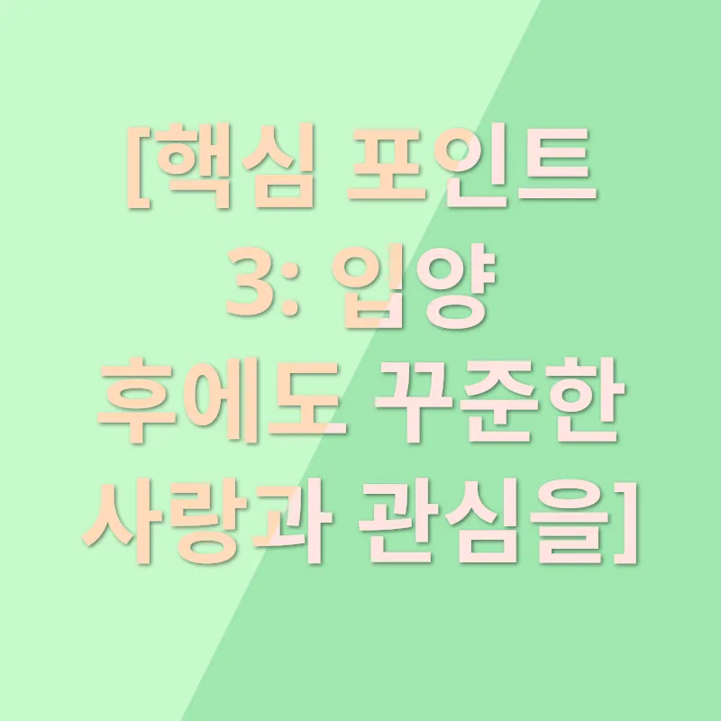 반려동물 입양_3
