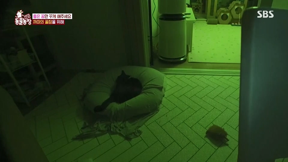 TV 동물농장.E1128.230709p.H264-F1RST.mp4_20230709_183556.878.jpg