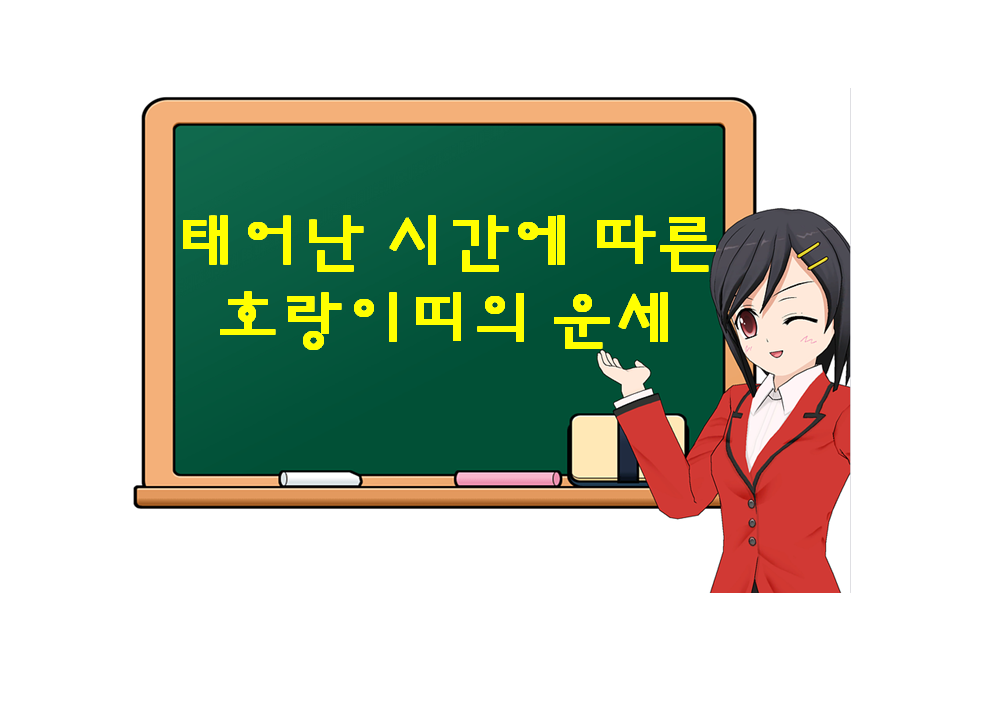  호랑이띠, 범띠, 태어난 시간에 따른 운세가 궁금하다면?