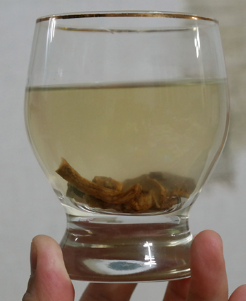 분말, 환, 말린건재 파는곳 판두라틴 핑거루트 효능과 먹는법 1