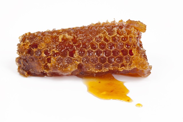 피로회복에 좋은 음식 꿀