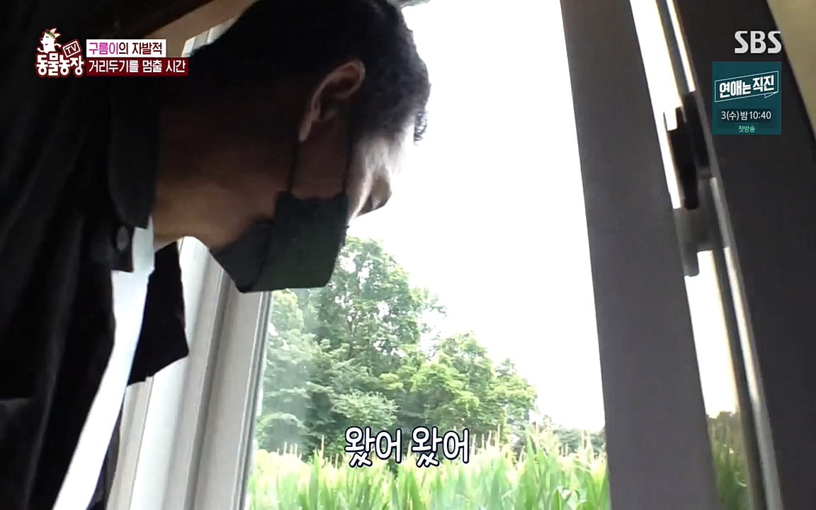 TV 동물농장.E1080.220732p-NEXT.mp4_20220731_174249.118.jpg