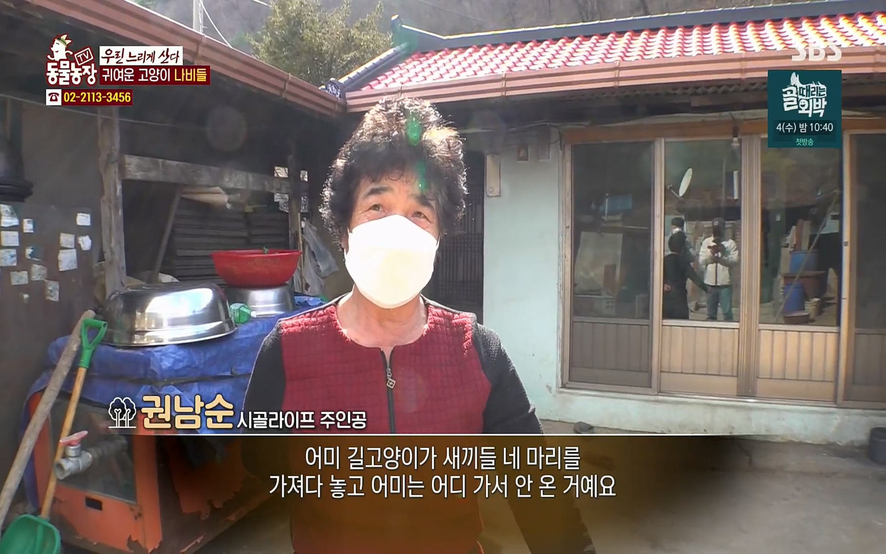 TV 동물농장.E1067.220501p.H264-F1RST.mp4_20220501_183621.563.jpg