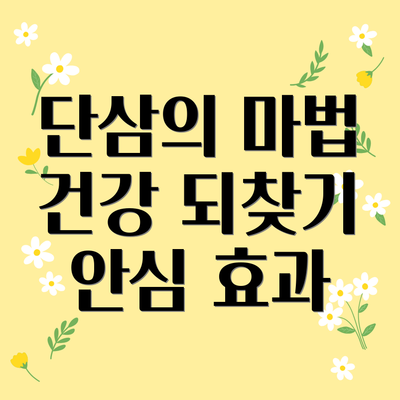 단삼 효능