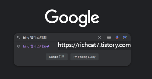 bing-웹마스터도구-검색