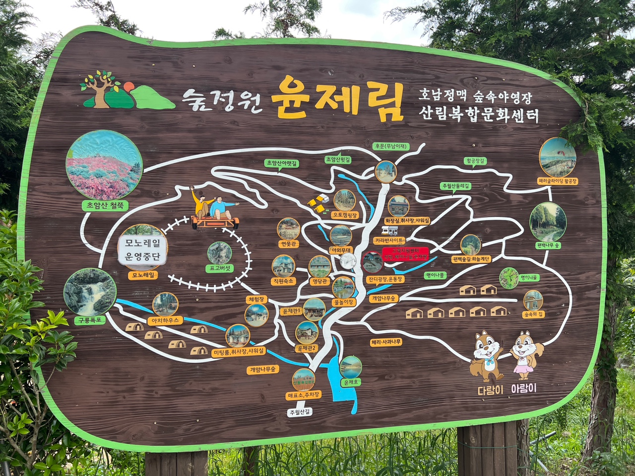 윤제림 성림정원 수국