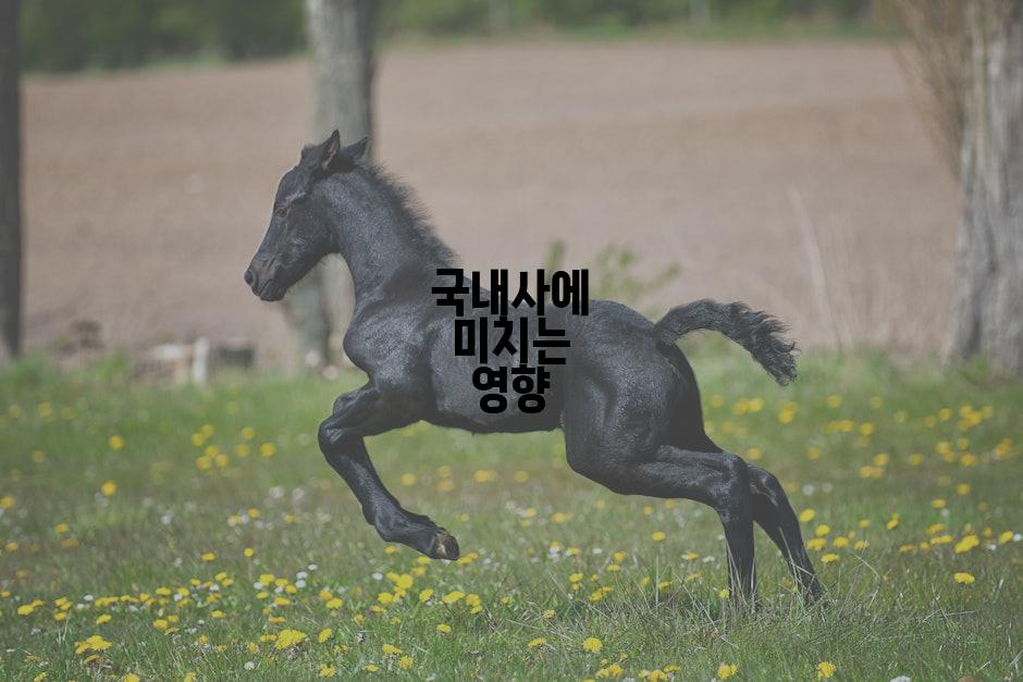 국내사에 미치는 영향