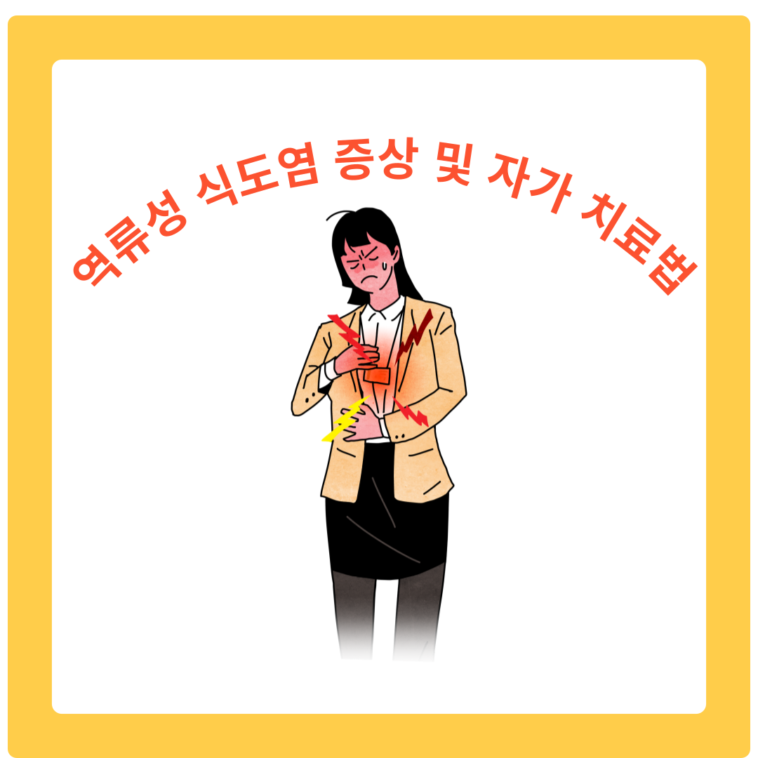  역류성 식도염 증상 극복하기: 생활 속 관리와 예방법