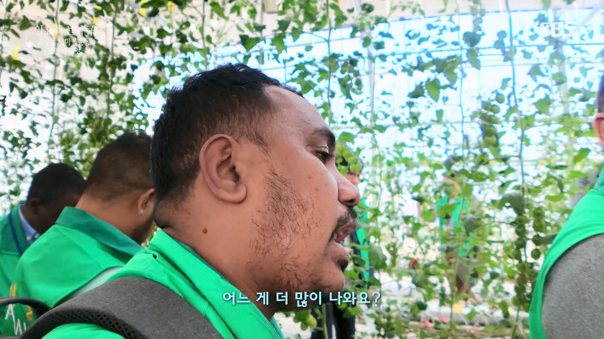 일요 특선 다큐멘터리.E347.240519p.H264-F1RST.mp4_20240519_173911.846.jpg