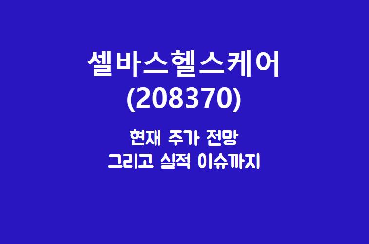  셀바스헬스케어 (208370) 주가, 실적, 전망, 기업분석