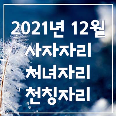 (사자자리, 처녀자리, 천칭자리) 2021년 12월 은하별의 별자리 운세