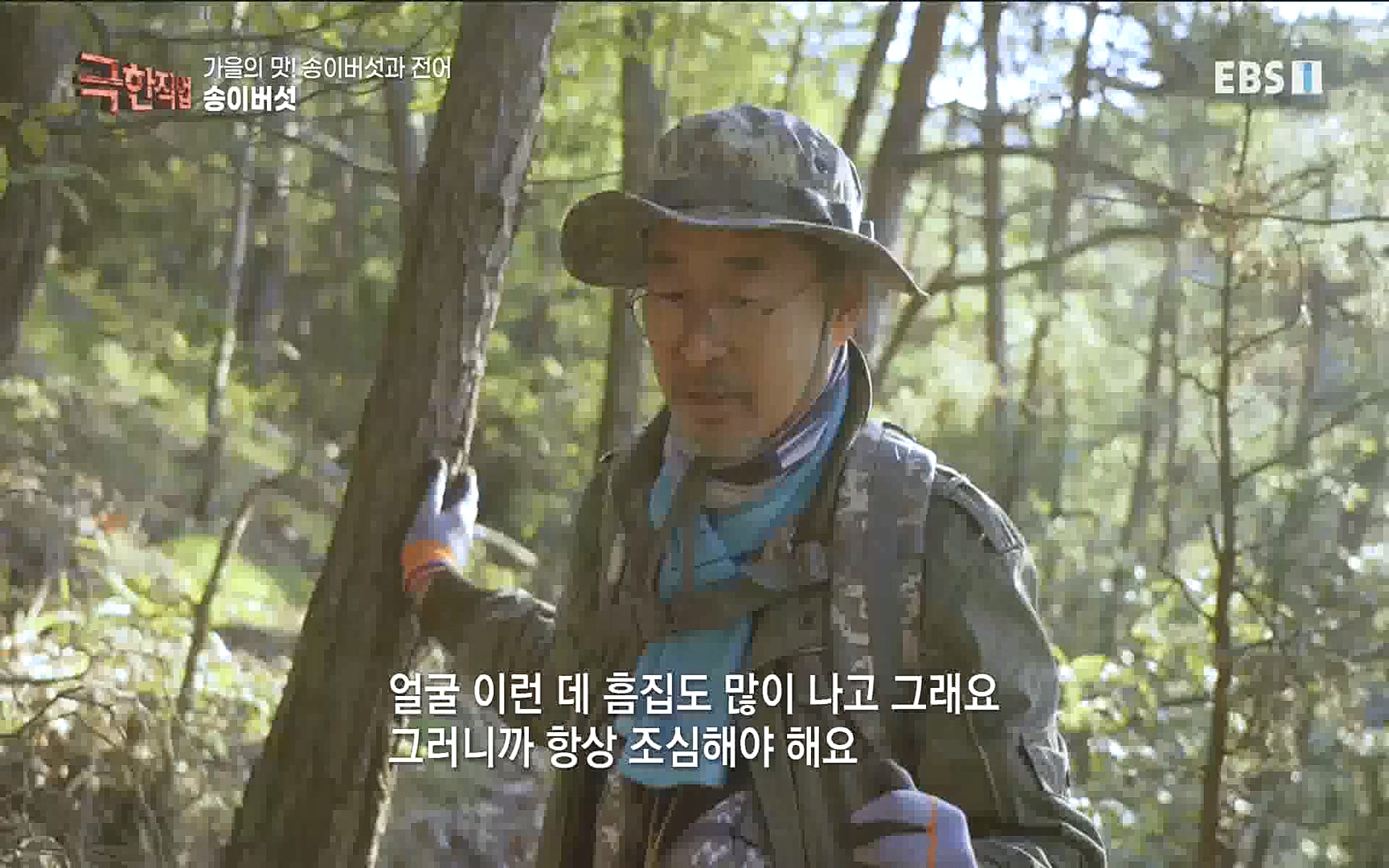 송이버섯과 전어 221008.mp4_20221012_213441.702.jpg
