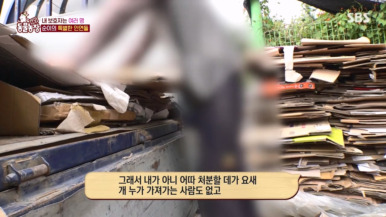 TV 동물농장.E1143.231030p-NEXT.mp4_20231029_164059.900.jpg