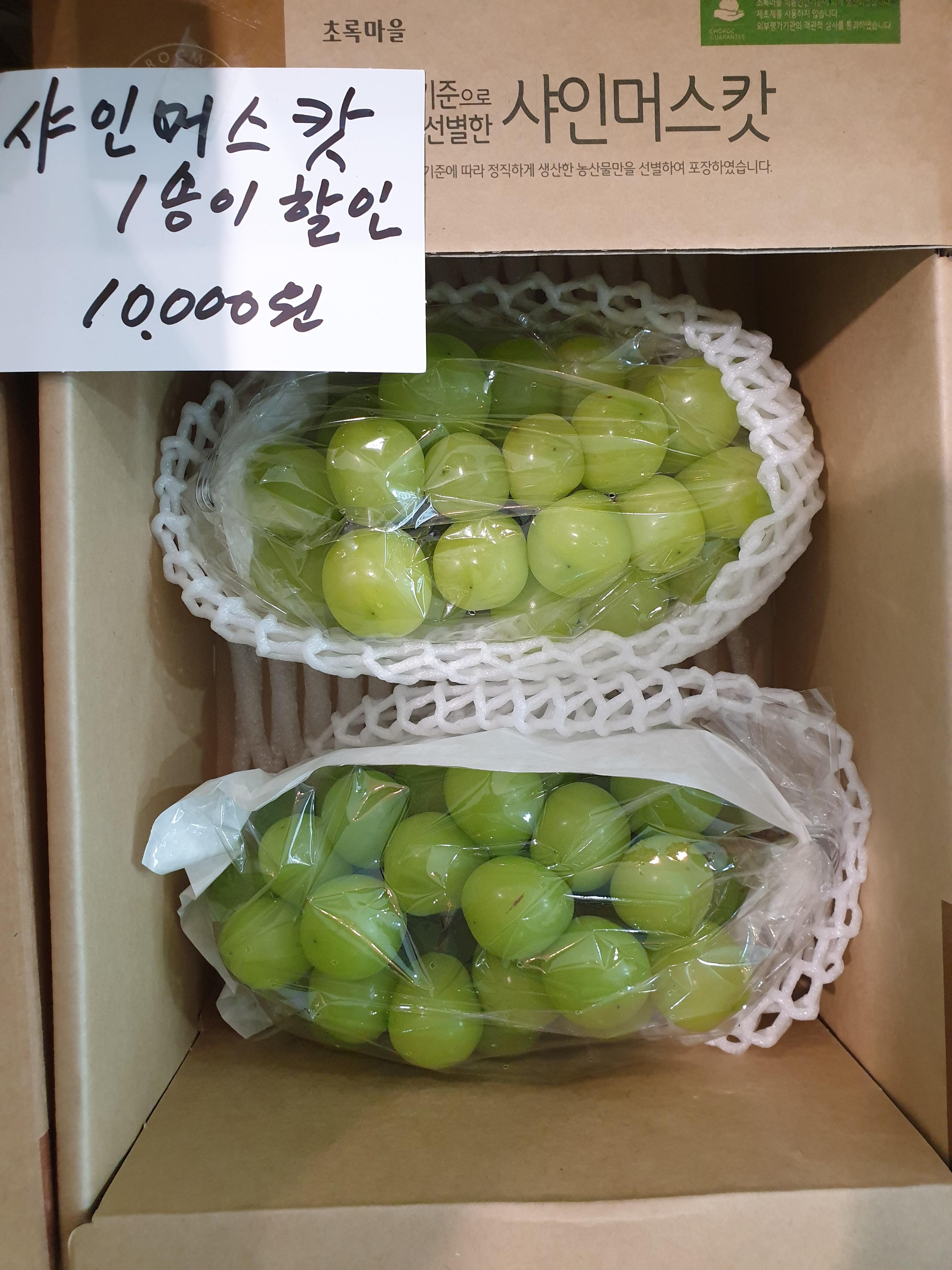  샤인머스켓이 비싼 이유같은 이유