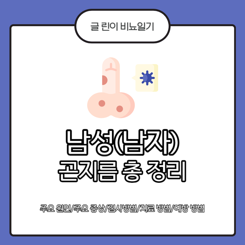  남성(남자) 곤지름 총 정리 : 주요 원인/주요 증상/검사 방법/치료 방법/예방 방법