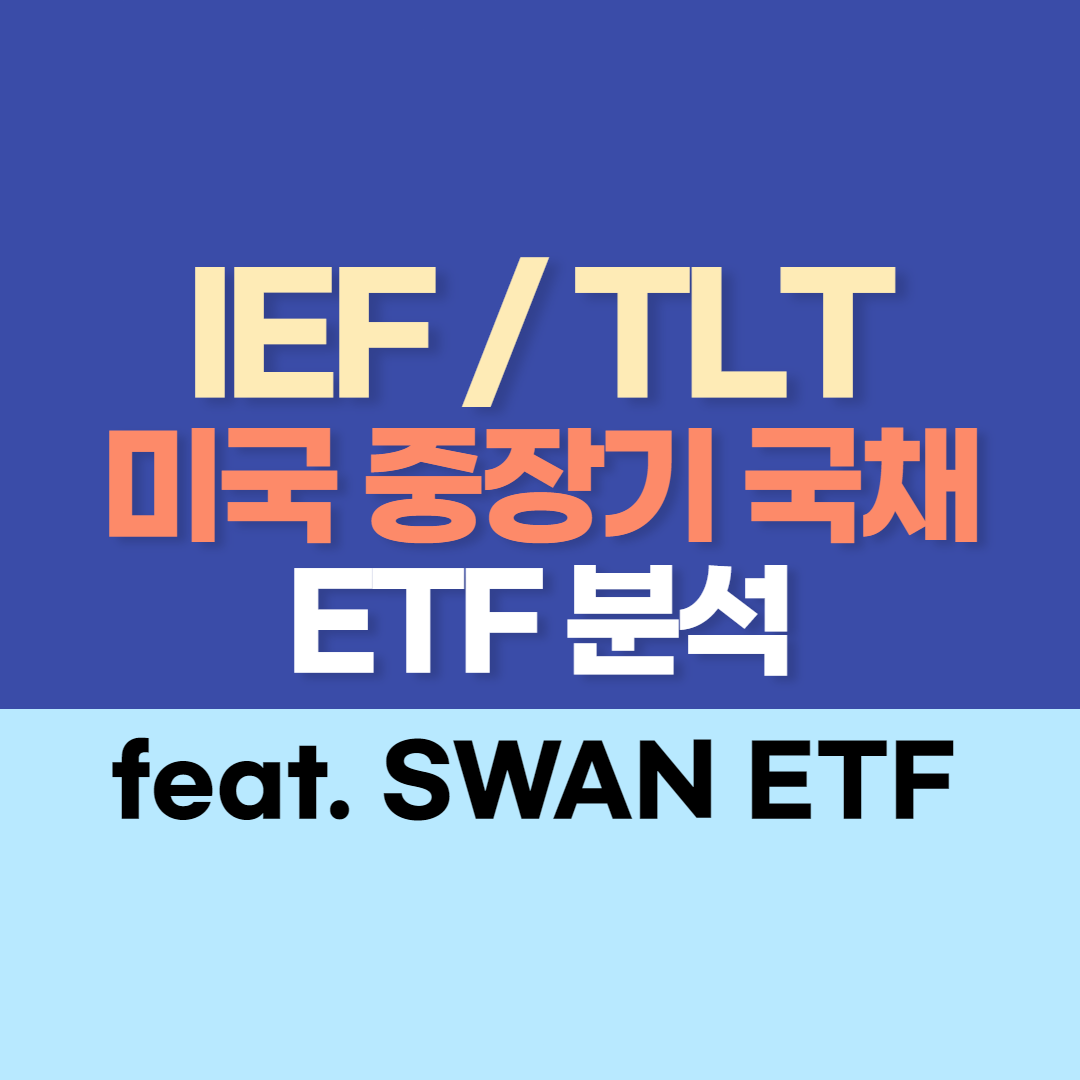 IEF vs TLT 미국 중장기 국채 ETF 비교