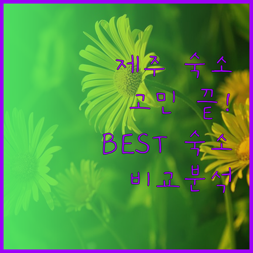 제주 숙소 고민 끝! 소노캄 제주, 