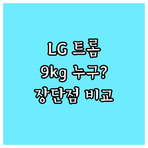 LG 트롬 건조겸용 세탁기 FR9WP