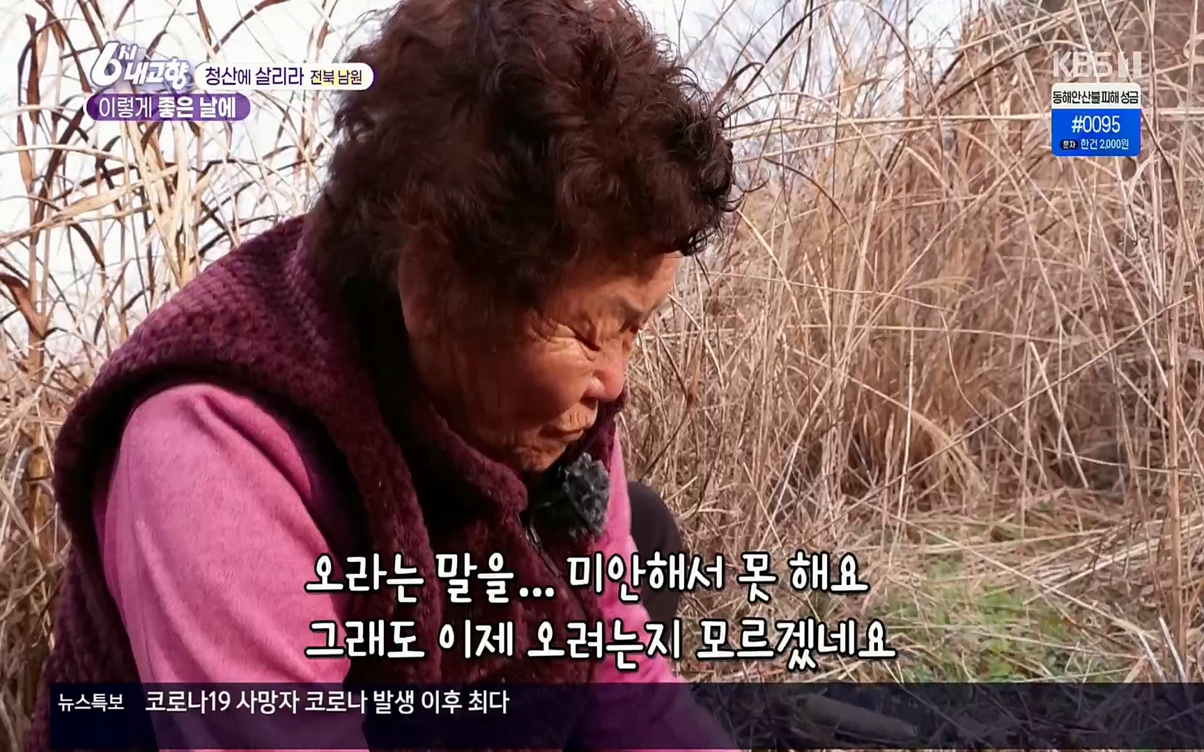 6시 내고향.E7496.220324p.H264-F1RST.mp4_20220328_181628.542.jpg