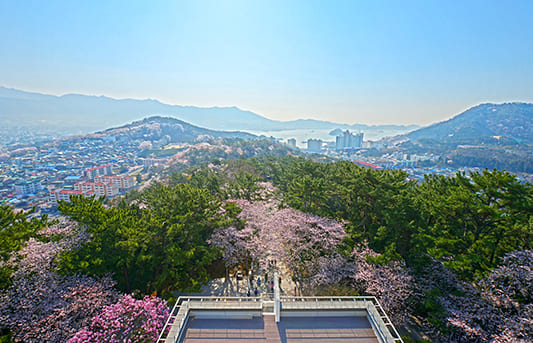 제황산 공원