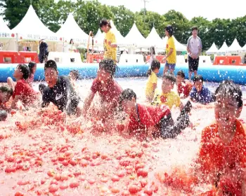 퇴촌 토마토 축제_3