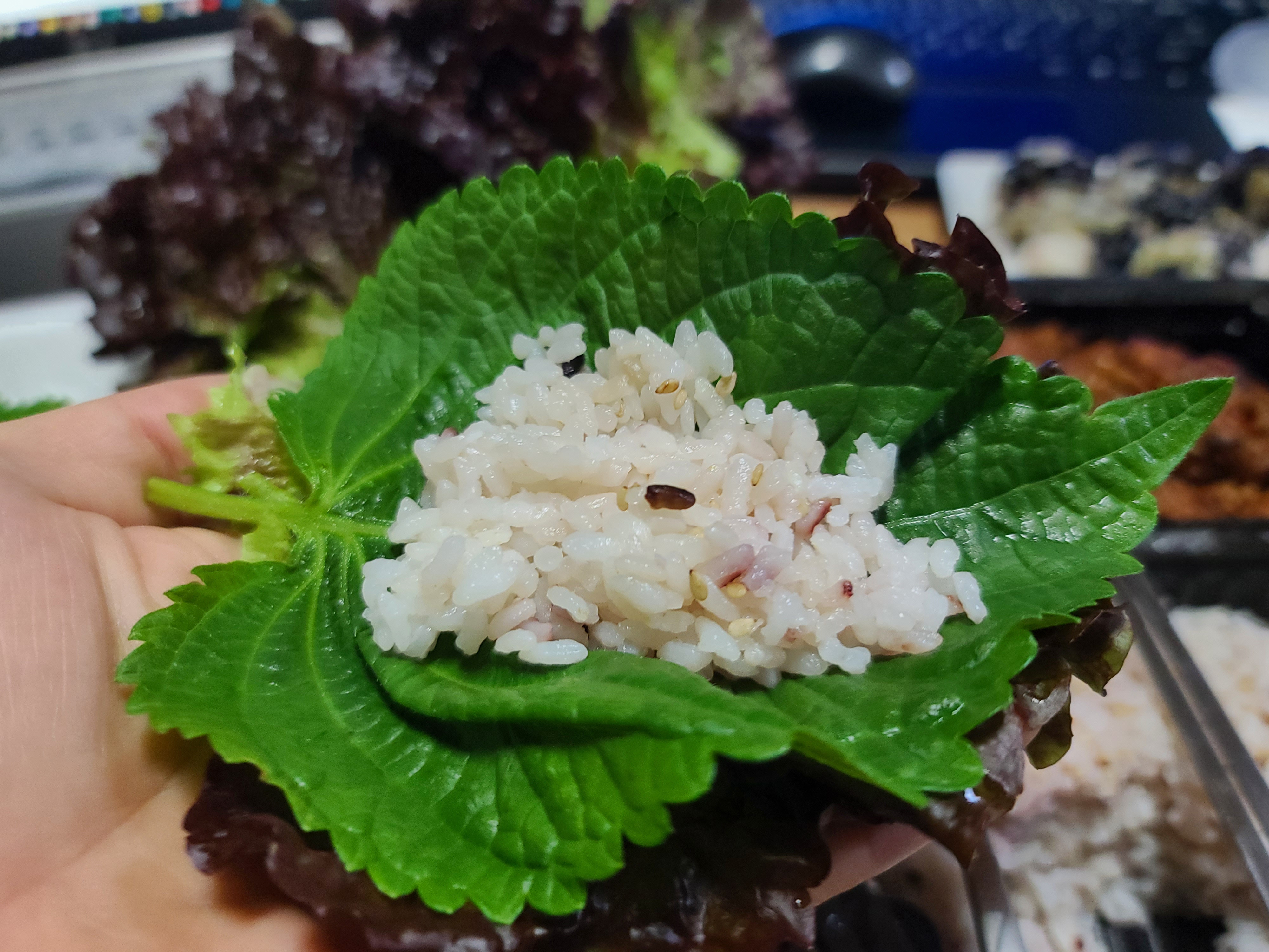 Now put rice on the perilla leaf! We do not recommend rice without stickiness like Indica. We recommend Japonica rice&#44; which can contain all the flavors of the Ssam with its stickiness.