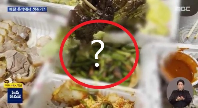  가장 맛있는 족발 쥐 프랜차이즈 업체 관련 MBC 영상