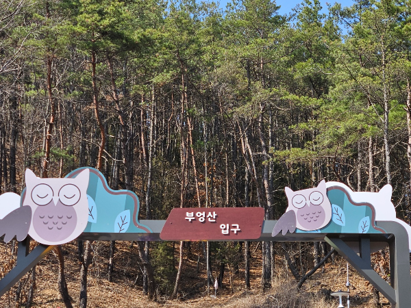 월영산과 부엉산을 잇는 출렁다리