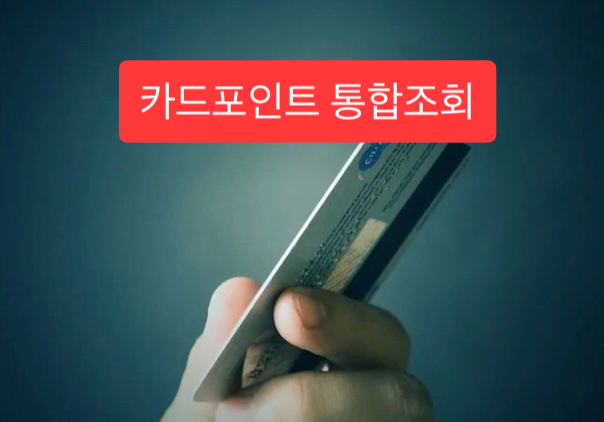  카드포인트 통합조회