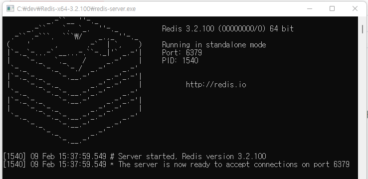 redis-server