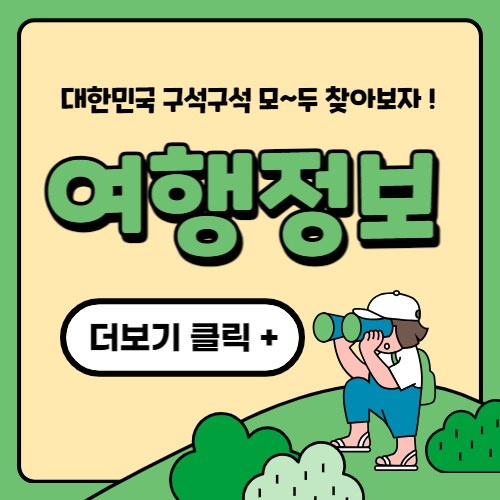 국내여행정보