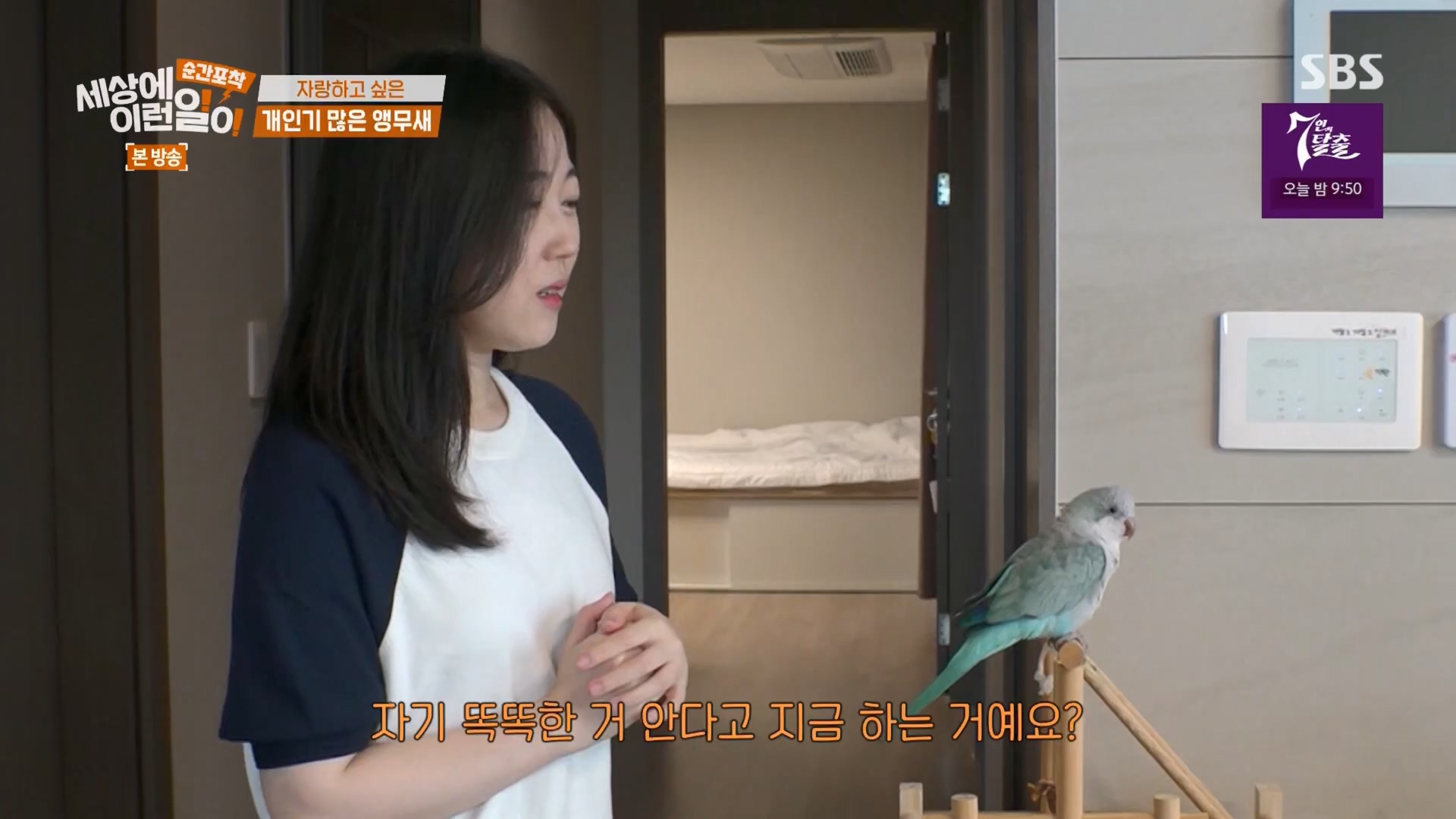 순간포착 세상에 이런일이.E1247.230923p.H264-F1RST.mp4_20230924_152647.373.jpg