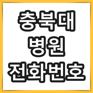 충북대학교 병원 전화번호