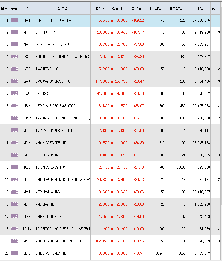  7월21일 미국주식 상승률 상위 종목 TOP 300