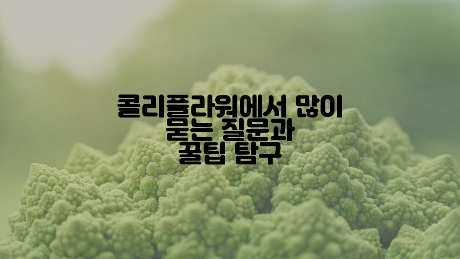 콜리플라워에서 많이 묻는 질문과 꿀팁 탐구