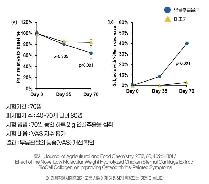 뮤코다당 단백 통증 실험