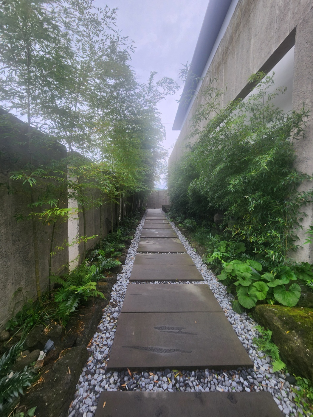 도깨비 베이커리 이미지