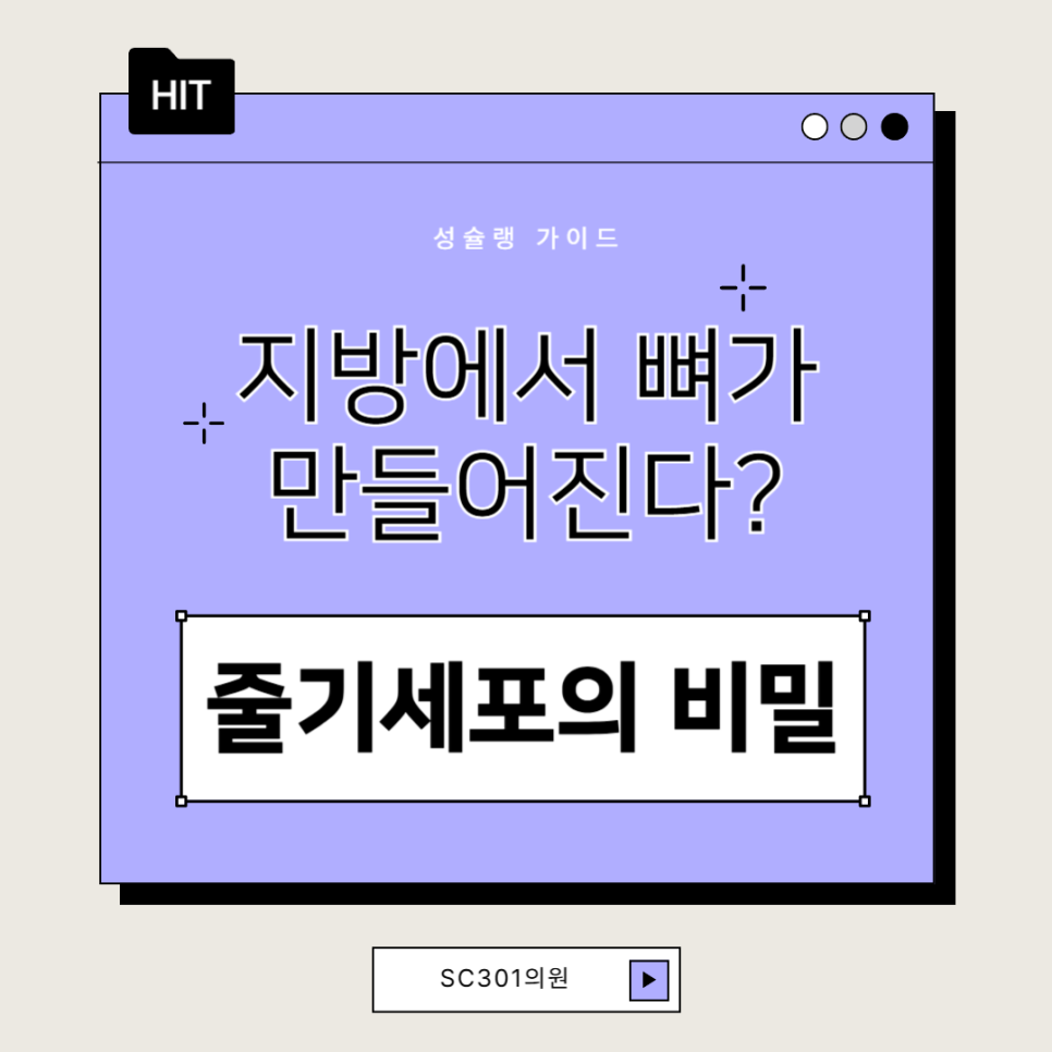 img 줄기세포로 뼈 재생이 가능할까? 지방유래 줄기세포(ADSC) 치료법 | SC301 성형외과 성슐랭 가이드