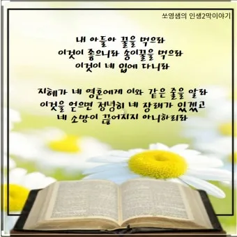 잠언 24장 솔로몬 잠언 묵상_17