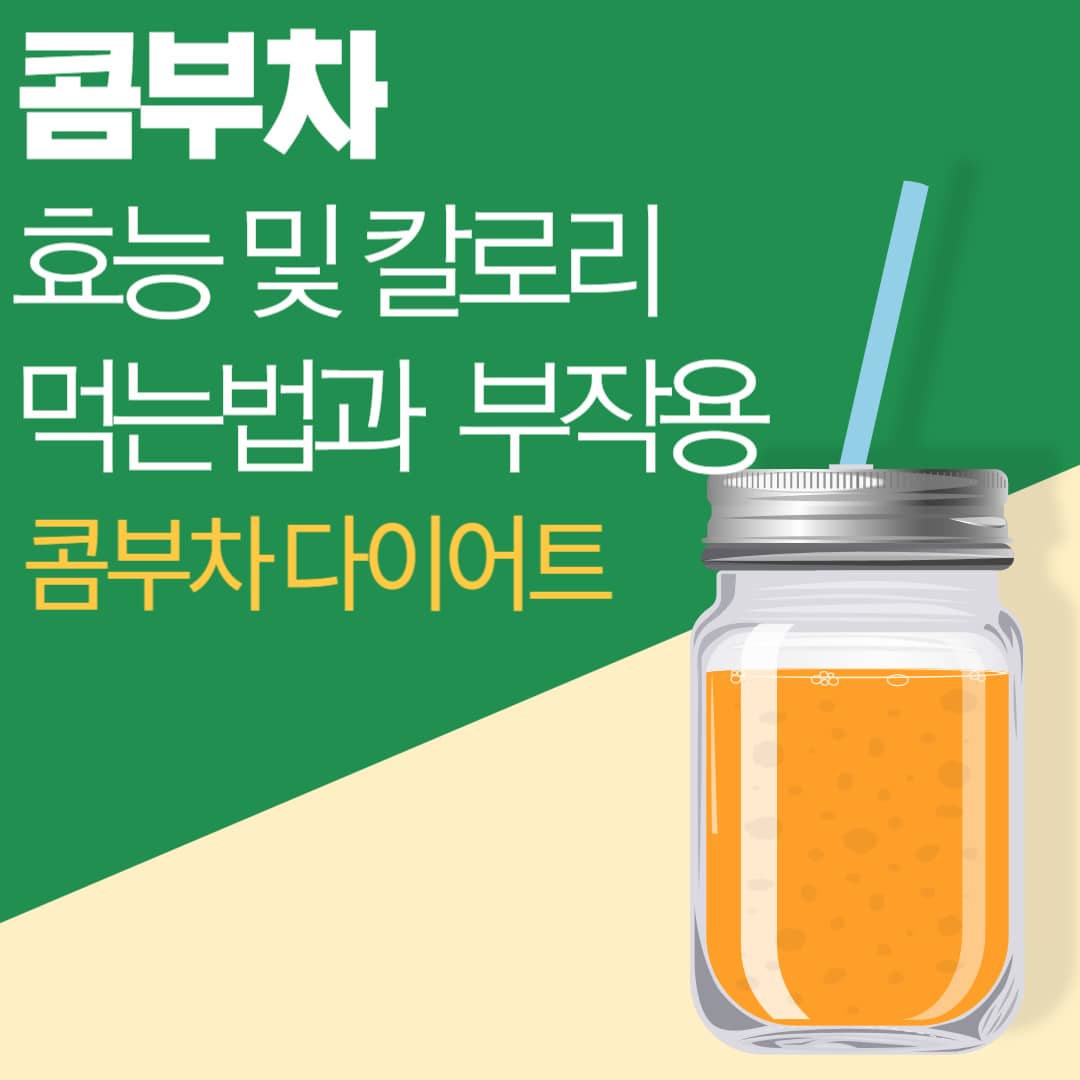 콤부차, 콤부차효능, 콤부차먹는법, 콤부차칼로리, 콤부차섭취량, 콤부차부작용, 콤부차다이어틑, 콤부차영양소, 콤부차카테킨, 콤부차카페인, 콤부차알콜, 콤부차먹는시간