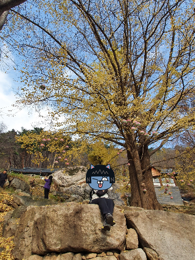마애불 암자에서
