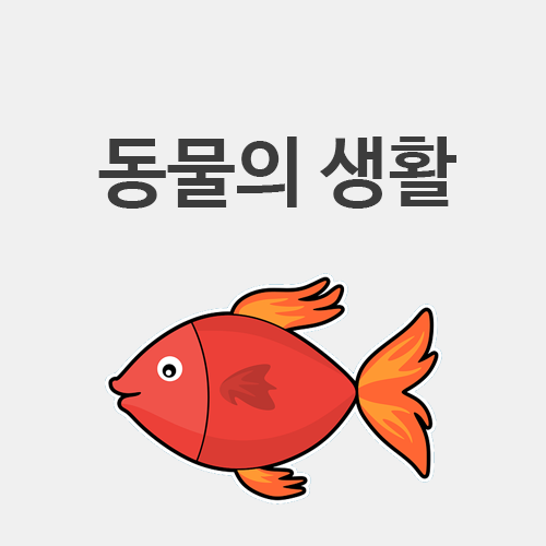 초3 과학] 동물의 생활 (조개가 움직인다?!)