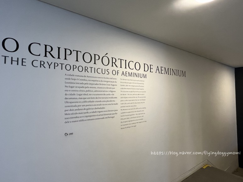 1세기는 포르투갈] 1세기 로마시대 지하 회랑을 경험할수 44
